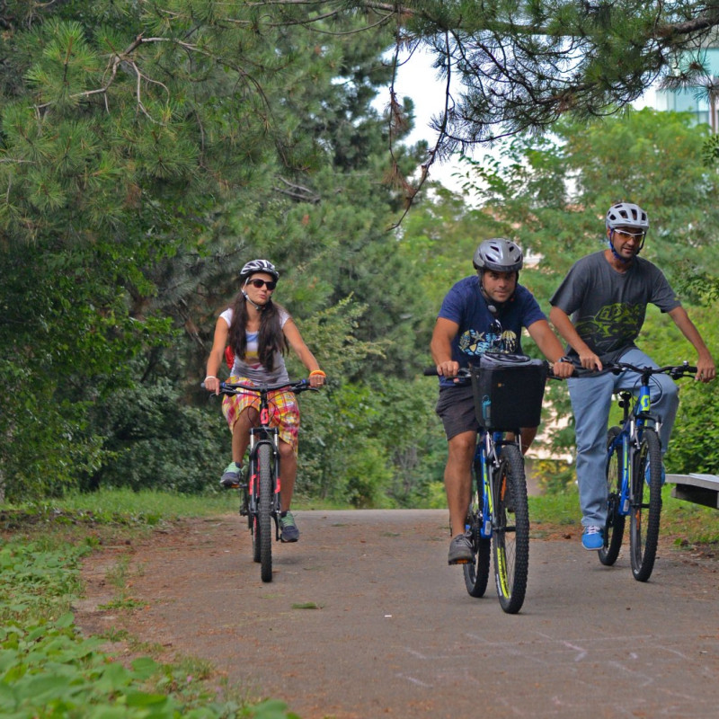 Bike Tour